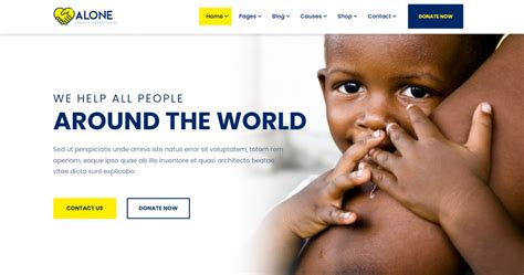 alone wordpress theme|wordpress themes for nonprofit organizations.